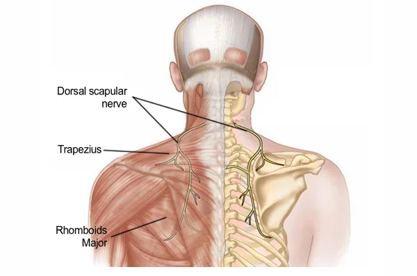 Pain Nivaran Clinic